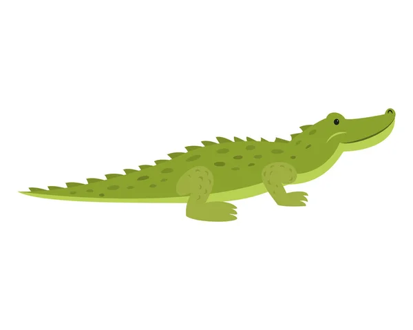 Roztomilý Krokodýl na bílém pozadí. — Stockový vektor