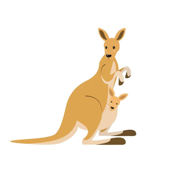 Cute kangaroo on white background. — Stock Vector