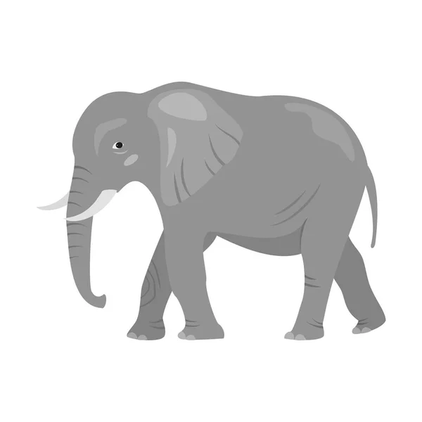 Éléphant mignon sur fond blanc. — Image vectorielle