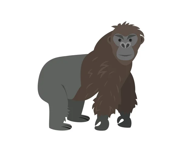 Gorila imut dengan latar belakang putih . - Stok Vektor