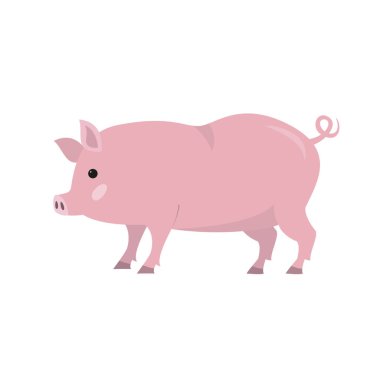 Beyaz arka plan üzerinde şirin domuz. Vektör çizim.