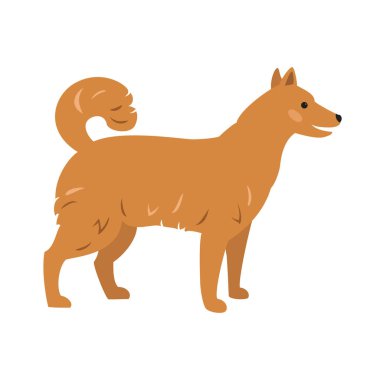 Beyaz arka plan üzerinde şirin köpek. Vektör çizim.