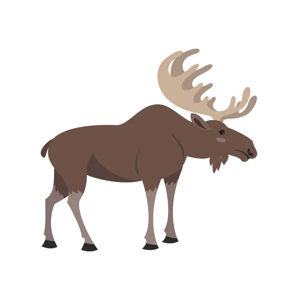 Cute Elk White Background Vector Illustration — Stock Vector