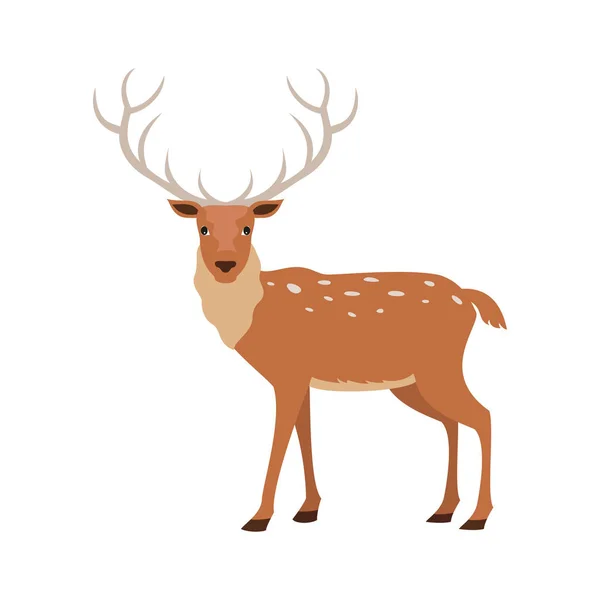 Cute Deer White Background Vector Illustration — Stock Vector