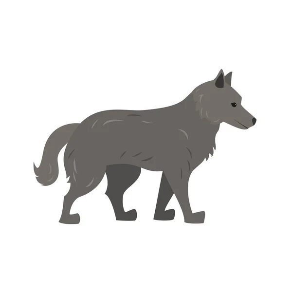 Niedlichen Wolf Auf Weißem Hintergrund Vektorillustration — Stockvektor