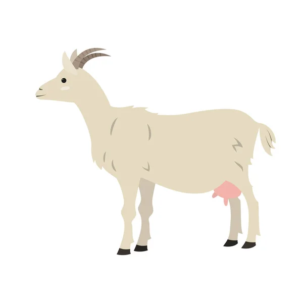 Cute Goat White Background Vector Illustration — Stock Vector