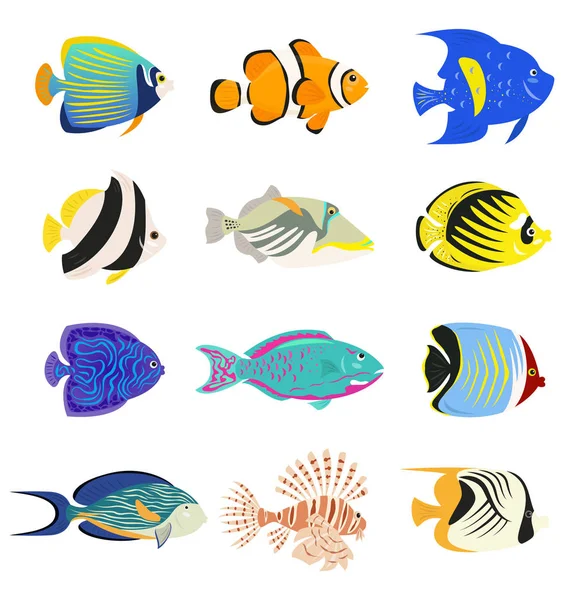 Ensemble Poissons Tropicaux Mignons Sur Fond Blanc Illustration Vectorielle — Image vectorielle