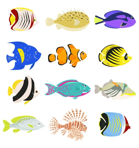 Σετ Από Χαριτωμένα Τροπικά Ψάρια Λευκό Φόντο Απεικόνιση Διανυσματικών Φορέων — Διανυσματικό Αρχείο