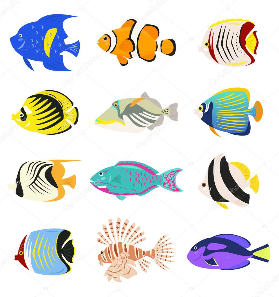 Set of cute tropical fishes on white background. Vector illustration.