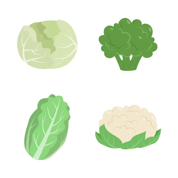 Grönsaker Som Med Kål Blomkål Broccoli Och Kinesisk Kål Vektorillustration — Stock vektor