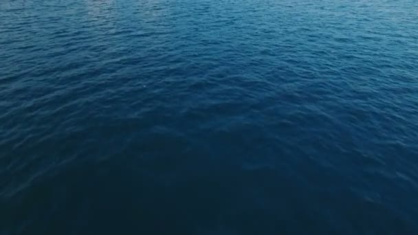 Hava geniş çekim Pov görünümünü Akdeniz denizinde dalgalar üzerinde uçan kuş vurdu içinde 4 k Uhd — Stok video