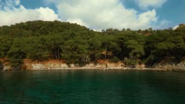 Havadan görünümü ile yoğun orman tropik sahil ve mavi su koy. Güneşli bir gün, vurdu içinde 4 k Uhd