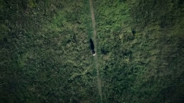 Toma aérea de muchacha desconcertada perdió solo en el campo y perdido su camino, en 4 k Uhd — Vídeos de Stock