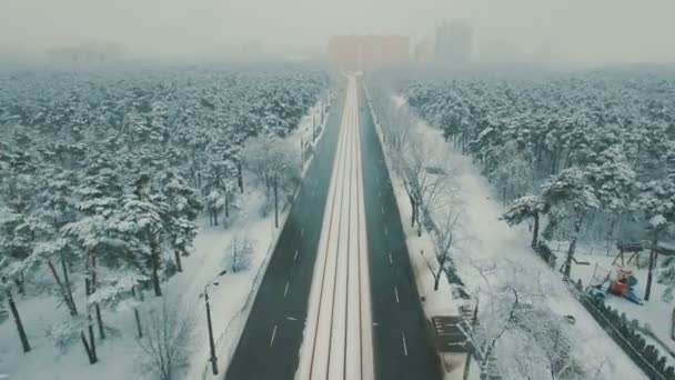 Acima da vista superior na estrada da floresta de inverno com carros e bonde. Imagens de drones aéreos de queda de neve — Vídeo de Stock