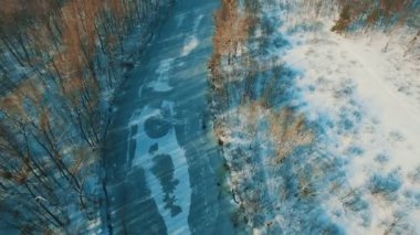 Donmuş gölde kış orman dron görüntüleri üzerinde havadan görünümü