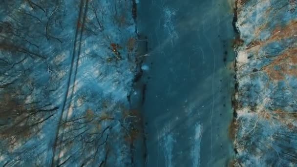 Vue aérienne sur le lac gelé à l'hiver forêt drone images — Video