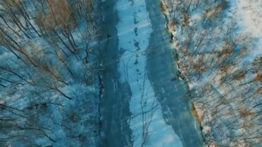 Donmuş gölde kış orman dron görüntüleri üzerinde havadan görünümü