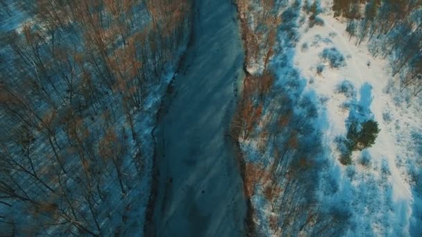 겨울 숲 무인 항공기 영상에서 얼어붙은 호수에 공중 보기 — 비디오