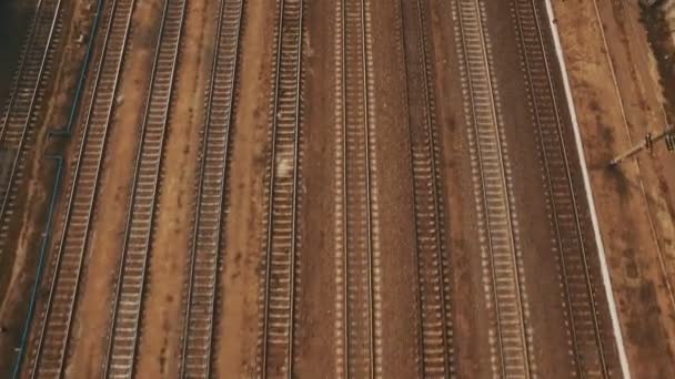 Patio ferroviario con muchas líneas ferroviarias y trenes de mercancías. Antena — Vídeo de stock