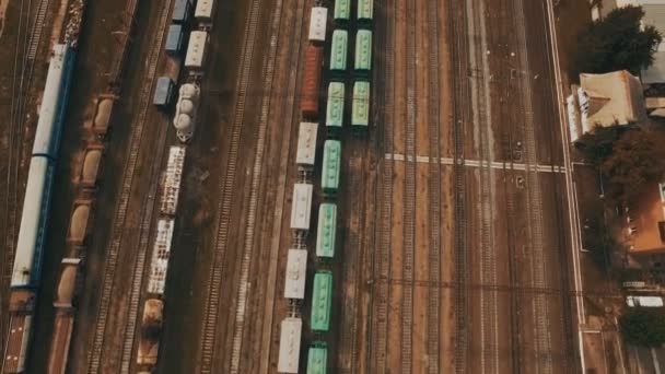 Patio ferroviario con muchas líneas ferroviarias y trenes de mercancías. Imágenes aéreas — Vídeo de stock