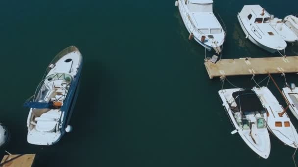 Εναέρια πλάνα βάρκες και κότερα στο λιμάνι Tivat. Μαυροβούνιο — Αρχείο Βίντεο