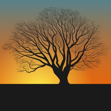 ağaç siluet ve nightfall