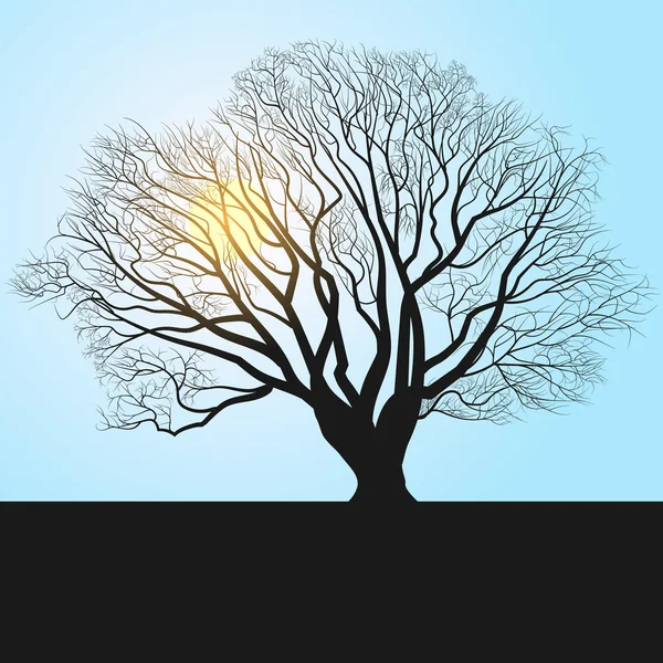 Midi et silhouette de l’arbre — Image vectorielle