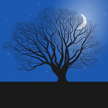 ağaç siluet ve gece