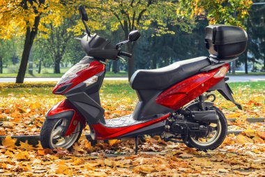 Scooter sonbahar Park