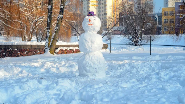 Snowman with purple hat. — Stock Photo, Image