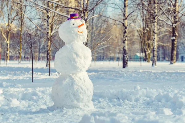 Snowman with purple hat. — Stock Photo, Image