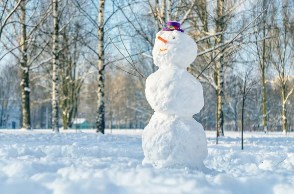 Snowman with purple hat. — Stock Photo, Image