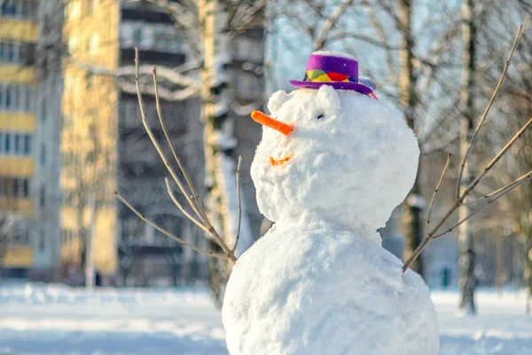 Snowman with purple hat. — Stock Photo, Image