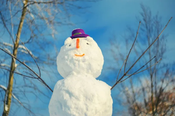 Snowman with purple hat. — Stock Photo, Image