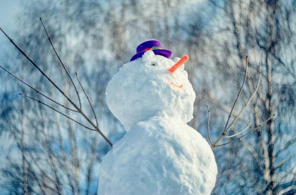 Snowman with purple hat. — Stock Photo, Image