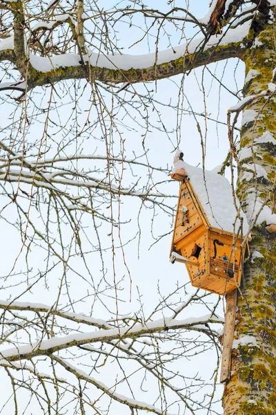Birdhouse sur arbre d'hiver — Photo