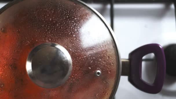 Une variété colorée de légumes, bouillant dans une casserole sur la cuisinière. Vue du dessus . — Video