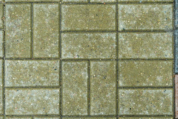 Green brick paving stones on a sidewalk — Stock Photo, Image