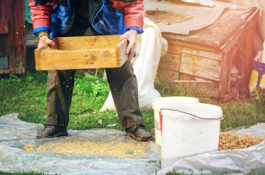 Tahıl elek ile el ile Eleme