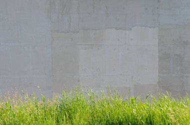 Yeşil çim gri çimento duvar ile