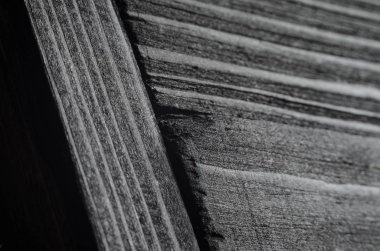 Siyah Parlatıcı ahşap karanlık doku