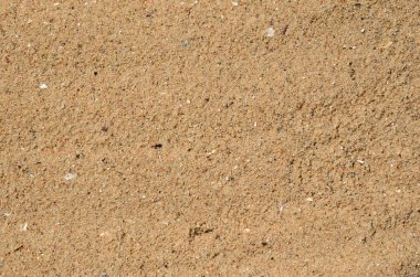 kumlu plaj arka plan. Detaylı kum doku