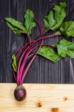 Pancar yaprakları ile büyüyen