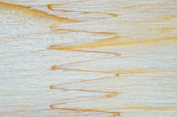Glued sawn timber texture — Stock Photo, Image