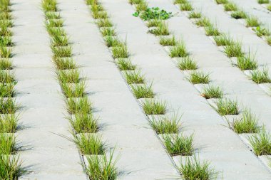 Yolun çim için gri beton Cobblestones delikleri ile kaplıdır. Perspektif görünümü. Bir kafes şeklinde ve çim deliklere gri kaldırım taşı. Öğe konsept peyzaj