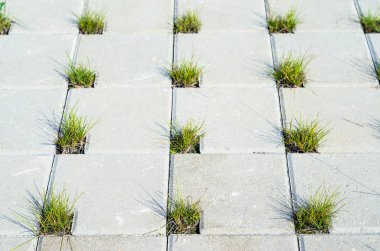 Yolun çim için gri beton Cobblestones delikleri ile kaplıdır. Perspektif görünümü. Bir kafes şeklinde ve çim deliklere gri kaldırım taşı. Öğe konsept peyzaj