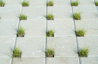Yolun çim için gri beton Cobblestones delikleri ile kaplıdır. Perspektif görünümü. Bir kafes şeklinde ve çim deliklere gri kaldırım taşı. Öğe konsept peyzaj
