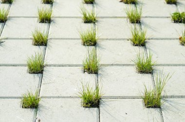 Yolun çim için gri beton Cobblestones delikleri ile kaplıdır. Perspektif görünümü. Bir kafes şeklinde ve çim deliklere gri kaldırım taşı. Öğe konsept peyzaj