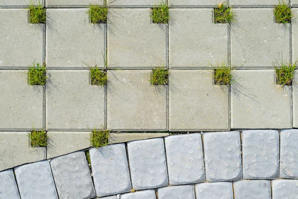 Çim üstten görünüm için delikleri kare gri beton Cobblestones. Gri kaldırım taşı döşeli doku. Peyzaj öğe arka plan kavramı
