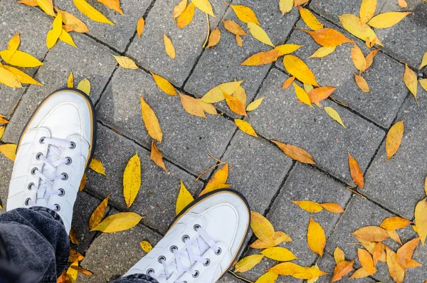 Λευκά αθλητικά παπούτσια μεταξύ πεσμένα φύλλα κίτρινα — Φωτογραφία Αρχείου